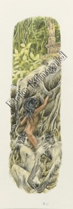 Jungle Book page 40 Mogli with the apes